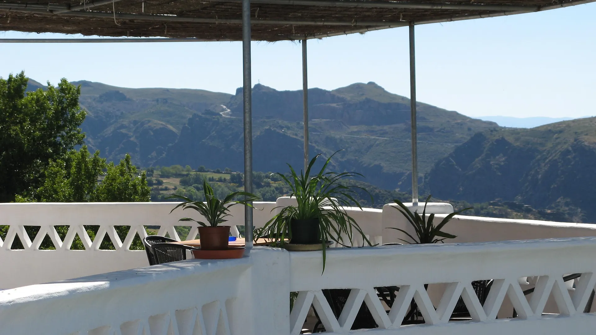 酒店 La Oveja Verde De La Alpujarra 皮特尔